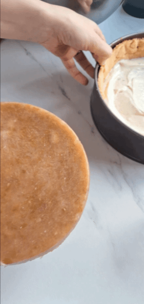  Käsekuchen Füllung Mit Rhabarberkern Tipp