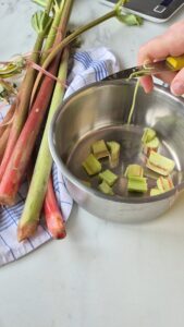 Rhabarber-Quark-Tarte mit fruchtigem Kern Rhabarber Quark Tarte 1 169x300