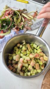 Rhabarber-Quark-Tarte mit fruchtigem Kern Rhabarber Quark Tarte 2 169x300