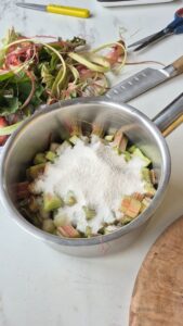 Rhabarber-Quark-Tarte mit fruchtigem Kern Rhabarber Quark Tarte 3 169x300