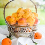 Rezepte a-z Aprikosen Rosmarin Sorbet 150x150
