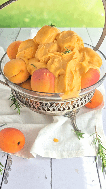  Aprikosensorbet Mit Rosmarin