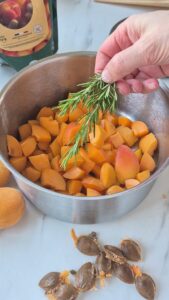 Aprikosensorbet mit Rosmarin Sorbet Rezept Schritt 4 Rosmarin Zu Aprikosen Geben 169x300