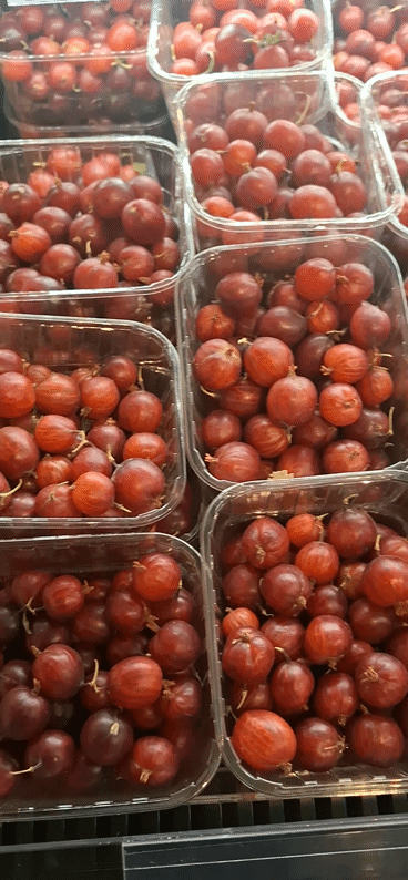  Stachelbeer Rezept Ideen Einfach