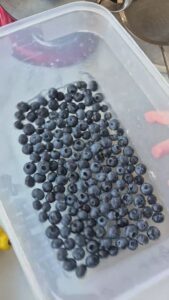 Zitronen-Blaubeer-Kuchen, super saftig & einfach Saftiger Blaubeerkuchen Schritt 10 Frische Blaubeeren In Behälter 169x300
