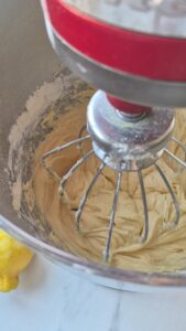 Zitronen-Blaubeer-Kuchen, super saftig & einfach Saftiger Blaubeerkuchen Schritt 8 Teig In Kuchenmaschine Mixen 169x300
