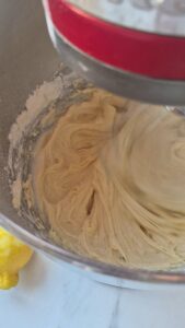 Zitronen-Blaubeer-Kuchen, super saftig & einfach Saftiger Blaubeerkuchen Schritt 9 Teig In Küchenmaschine Mixen 169x300