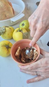Brathähnchen mit Quitten und Lebkuchengewürz Lebkuchengewurz Hahnchen Schritt 6 Lebkuchengewürz In Schale Einrühr